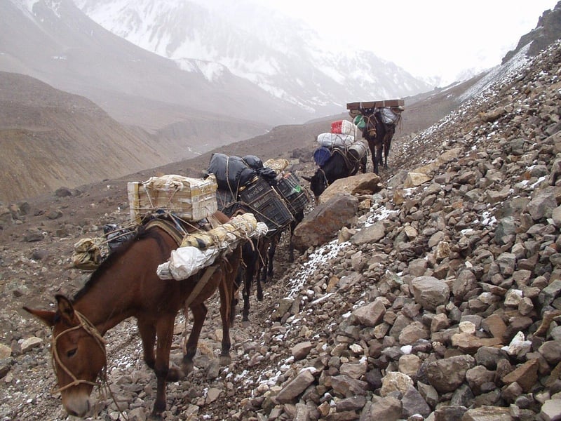 Future Expeditions
